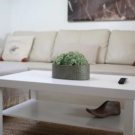 El ático De Marqués De Pidal - Vut-1420-as * Oviedo